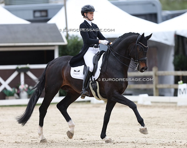 Carina Scholz and Isterberg V at their CDI debut in Sint-Truiden :: Photo © Astrid Appels