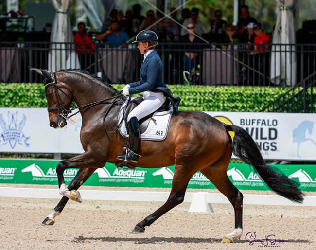 Tinne Vilhelmson and Kane at the 2024 Global Dressage Festival :: Photo © Sue Stickle