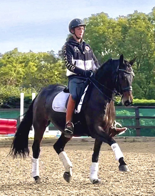 Chantilly Herself (by Cardinar x Romancero x Rohdiamant)