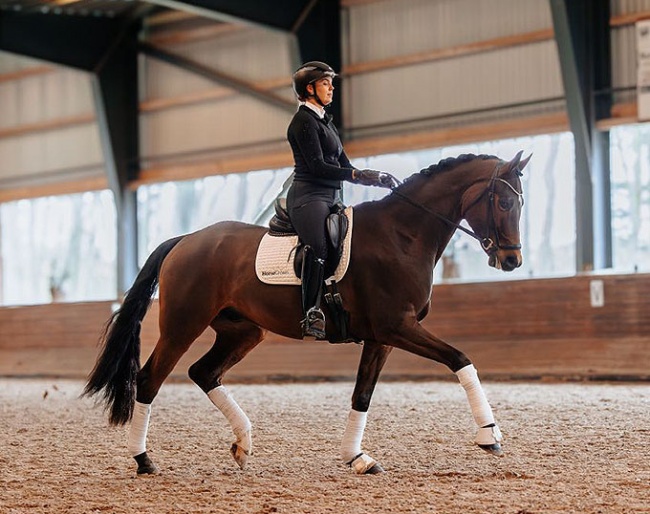 Ellegaardens Sancerre (by Sandro Hit x Hohenstein)