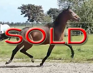 Revanche (by Valverde x Everdale x Jazz)