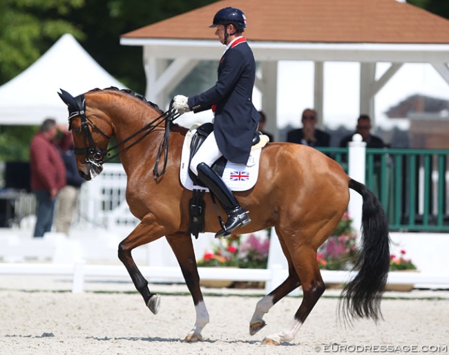 Gareth Hughes and Briolinca at the 2018 CDIO Compiegne :: Photo © Astrid Appels