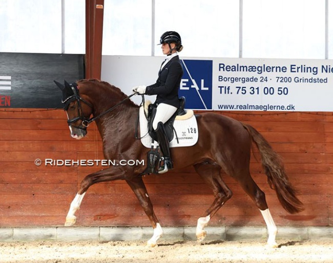 Mette Sejbjerg Jensen and Fifty-Fifty at a qualifier for the 2023 Danish Young Horse Championships :: Photo © Ridehesten