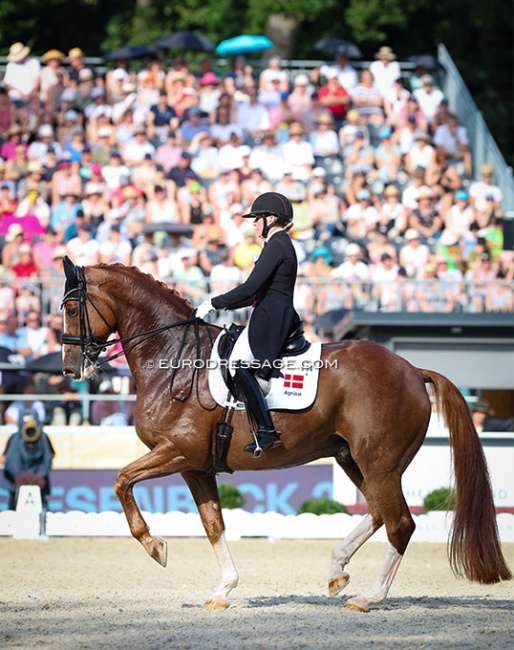 Nanna Skodborg Merrald and Blue Hors Zepter at the 2023 European Championships :: Photo © Astrid Appels