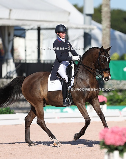 Anna Marek and Fire Fly at the 2023 CDI Wellington :: Photo © Astrid Appels