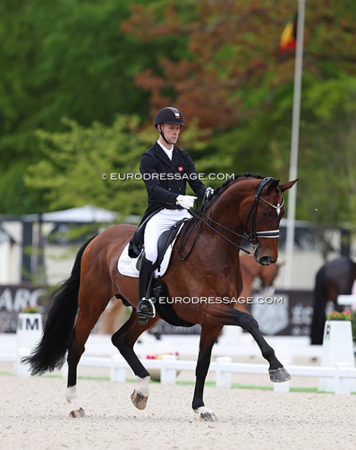 Daniel Bachmann Andersen and Vayron at the 2024 CDIO Compiegne :: Photo © Astrid Appels