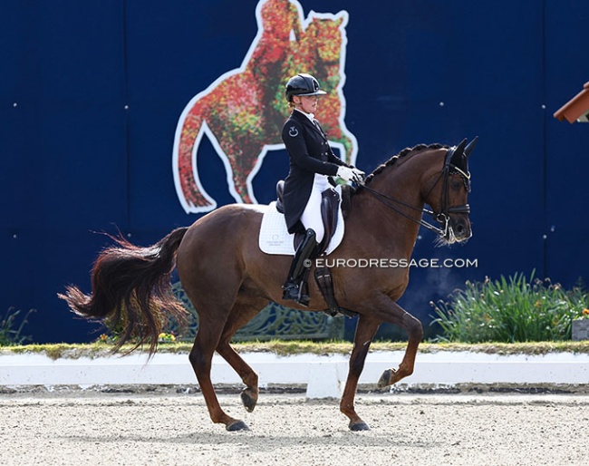 Sofie Lexner on Inoraline W at the 2024 CDI Hagen - Horses & Dreams :: Photo © Astrid Appels