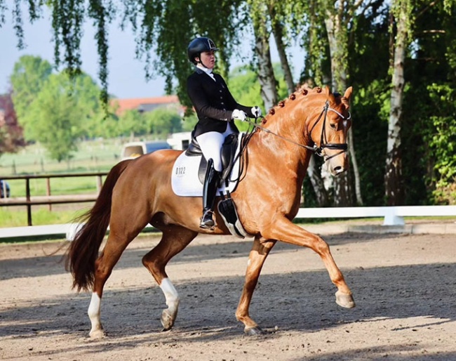 5-YO Runners-up Jennifer Stein and Enrico de Hus at the 2024 Okeler Dressage Days :: Photo © private