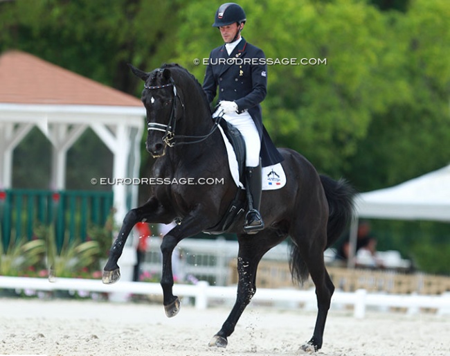 Marc Boblet and Noble Dream at the 2015 CDI Compiegne :: Photo © Astrid Appels