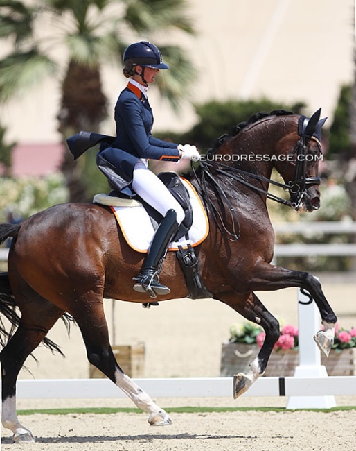 Milou Dees and Francesco at the 2021 European Young Riders Championships :: Photo © Astrid Appels