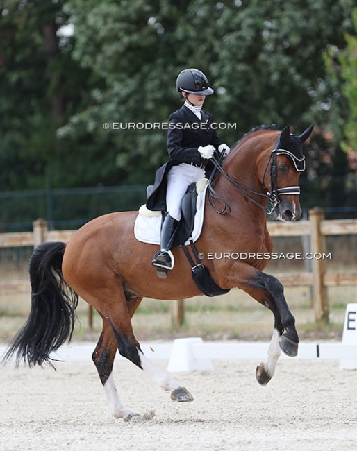 Yuko Kitai and Amandori at the 2023 CDI Grote Brogel :: Photo © Astrid Appels