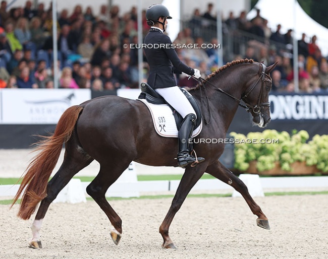 Stefanie Viehoff-Wolf on Bernadette Brune's San to Alati at the 2023 World YH Championships :: Photo © Astrid Appels