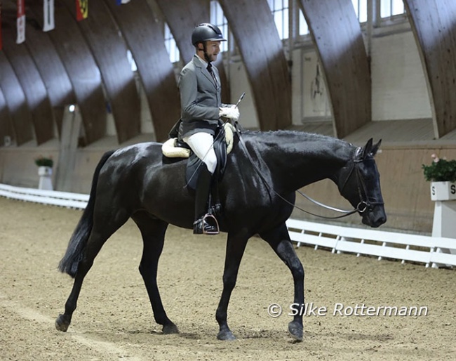 At the beginning of November 2023 Fanti debuted at elementary level after having achieved wins and placing at novice level over the summer :: Photos © Silke Rottermann