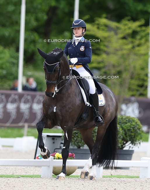 Juliette Ramel on Buriek KH at the 2024 CDIO Compiegne :: Photo © Astrid Appels
