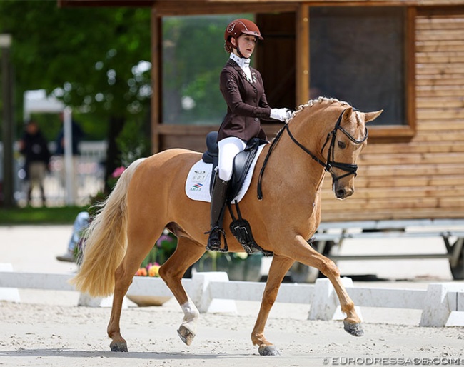 Russian born Azerbaijani Agata Zakhrabekova on RM Golden Showman at the 2024 CDIO Compiegne :: Photo © Astrid Appels