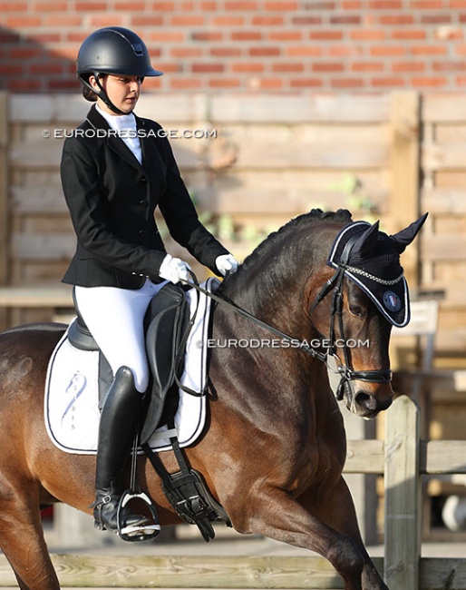 Eva Clement and Bredenhof's Midnight at the 2024 CDI Sint-Truiden :: Photo © Astrid Appels