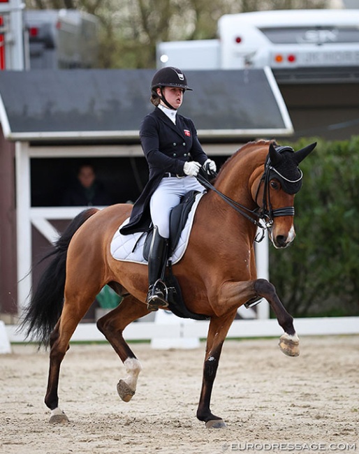 Lea Torabi on Bergåkras Amaranth at the 2024 CDI Sint-Truiden :: Photo © Astrid Appels