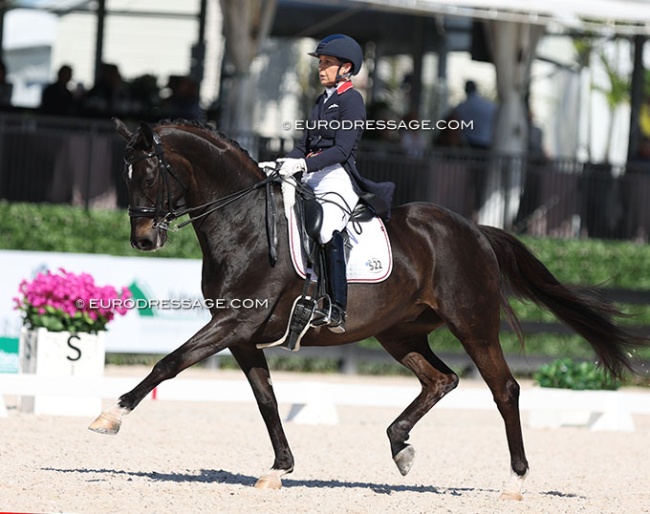 Jill Irving and Delacroix at the 2024 CDIO Wellington :: Photo © Astrid Appels
