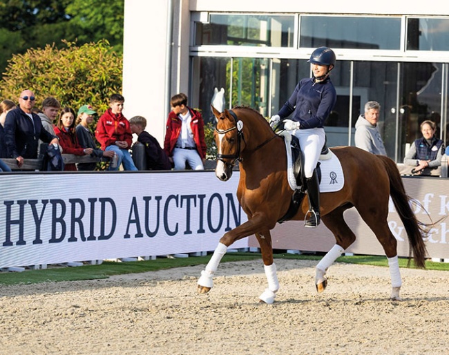 Sina Eilers on Simba at the 2024 Hof Kasselmann Hybrid Auction :: Photo © Thomas Hellmann