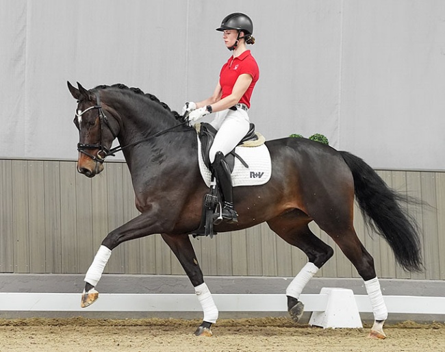 Fantasie (by Furstenball x Lord Loxley) 