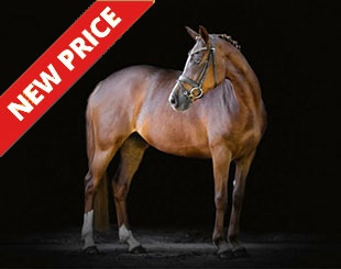 Maximilia (by Del Estero x Day of Whisper)