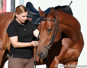 No noseband :: Photo © Silke Rottermann