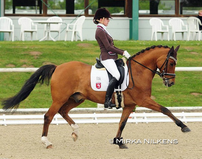 Luna Laabs and Dow Jones at the 2013 Pries der Besten in Warendorf :: Photo © Mirka Nilkens