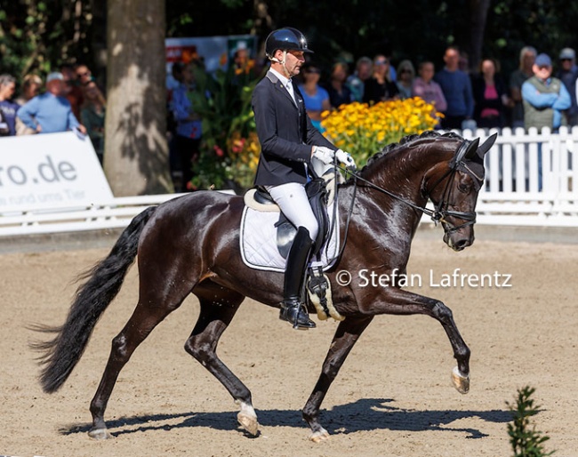 Marcus Hermes and St. Felice at the 2022 Bundeschampionate :: Photo © Stefan Lafrentz