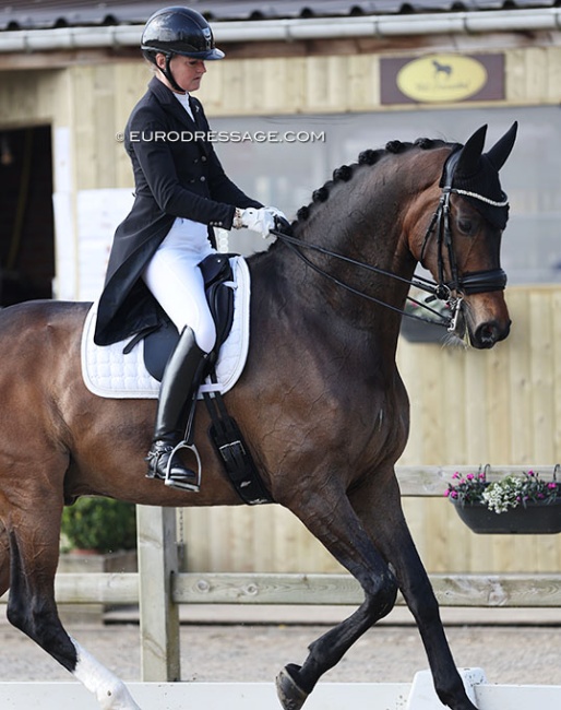 Anette Ejlersgaard on Baunehojes Carpaccio at the 2022 CDI Sint-Truiden :: Photo © Astrid Appels