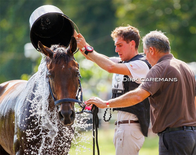 Horse being cooled down after the cross country at the 2023 CCI Arville :: Photo © Dirk Caremans