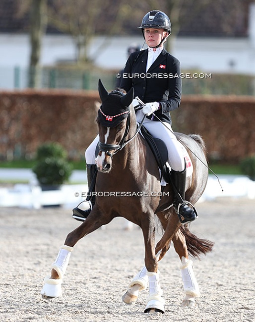 Rikke Maria Schoubye Johansen warming up D’Artagnan  at the 2024 Aachen Festival 4 Dressage :: Photo © Astrid Appels
