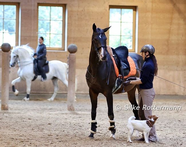 Anja Beran at her yard, Rosenhof, with one of her two Akal Tekke stallions :: Photo © Silke Rottermann