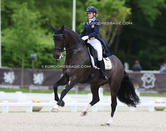 Juliette Ramel on Buriel KH at the 2024 CDIO Compiegne :: Photo © Astrid Appels