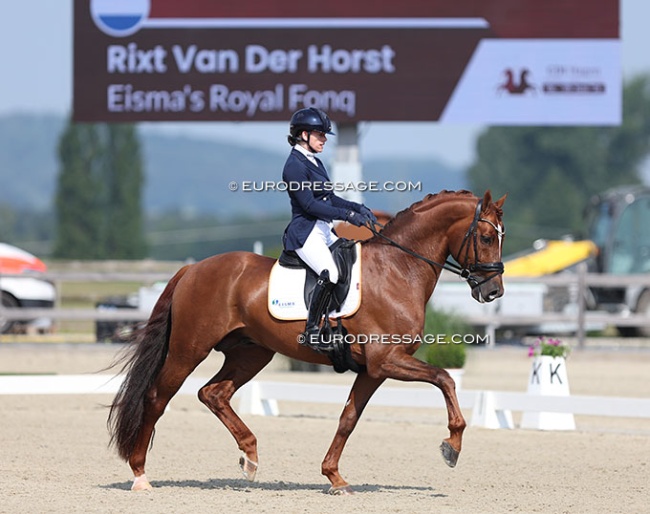 Rixt van der Horst and Fonq at the 2024 CPEDI Hagen :: Photo © Astrid Appels
