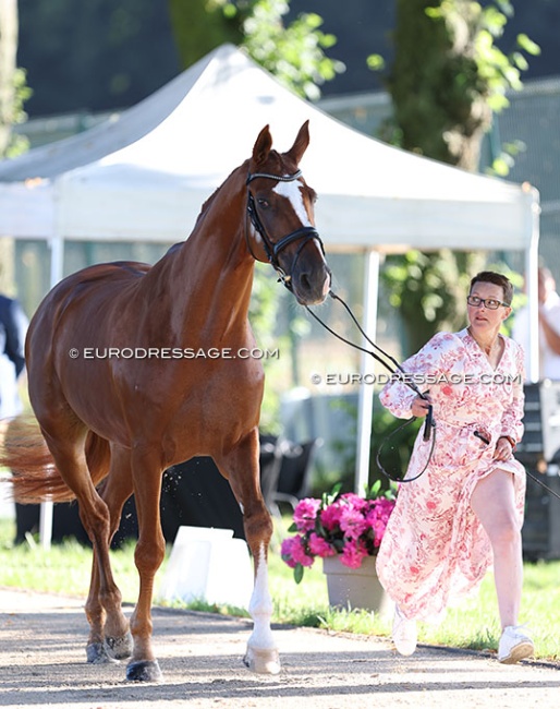 Zaneta Skowronska and Love Me at the first horse inspection at the 2024 Olympics :: Photo © Astrid Appels