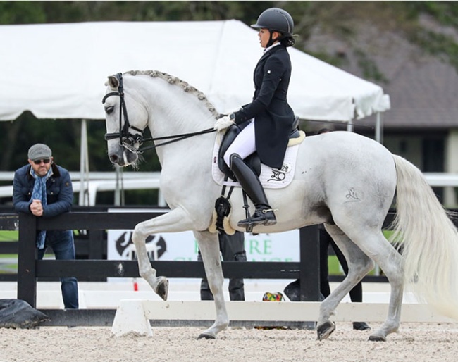 Miguel Coves watching Chia and Guateque in Wellington :: Photo © Sue Stickle