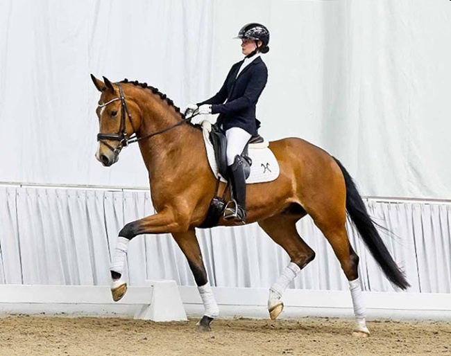 Euraton (by Escamillo x Feedback) :: Photo © Thorsten Kunst