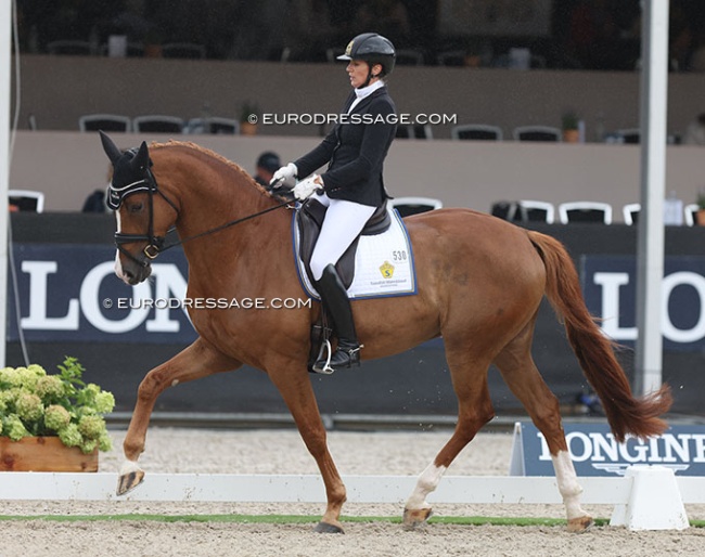 Saskia Lieben-Seutter and Selektion at the 2023 World Young Horse Championships :: Photo © Astrid Appels