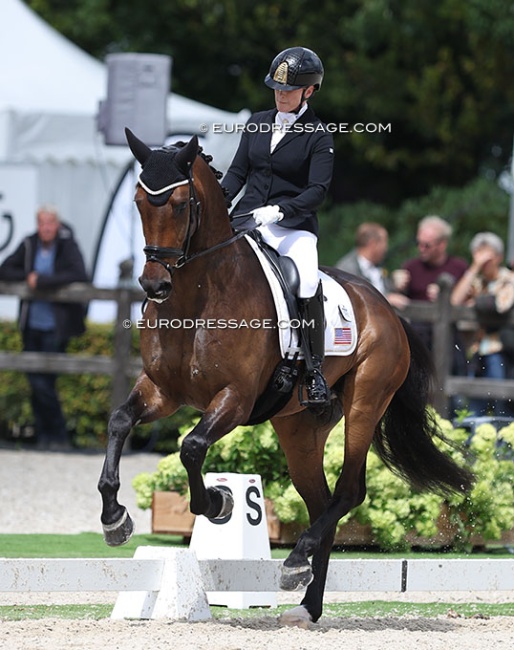 Rebecca Rigdon and MSJ For VIPs at the 2023 World Young Horse Championships :: Photo © Astrid Appels