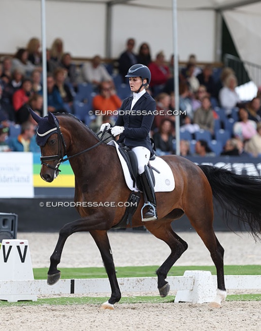 Maree Tomkinson and Imagine II at the 2023 World Young Horse Championships :: Photo © Astrid Appels