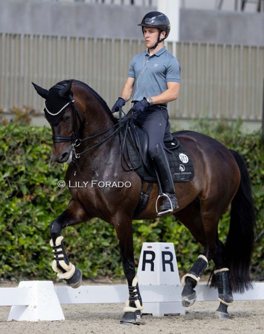 Santiago Damil and MSJ Top Secret warming up for the 2024 Spanish Dressage Championships :: Photo © Lily Forado
