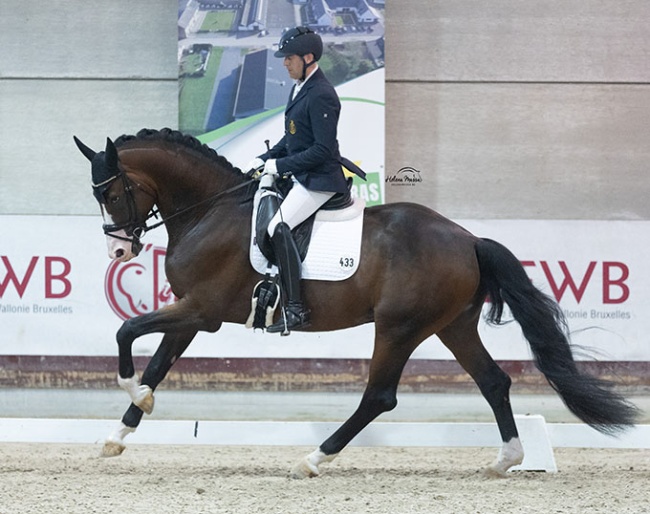 Kevin Laeens on Urianto van den Dries at the 2024 Belgian Young Horse Championships :: Photo © Helena Massa