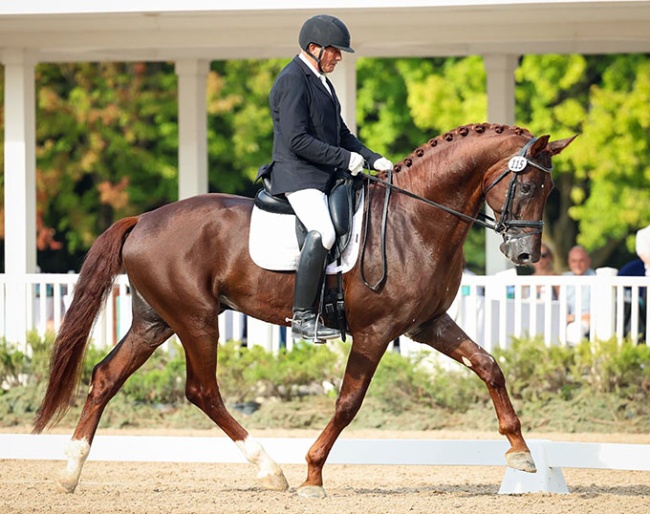 Willy Arts and Pharaoh DG win the 4year old division at the 2024 U.S. Young Horse Championships :: Photo ©Leslie Potter/US Equestrian
