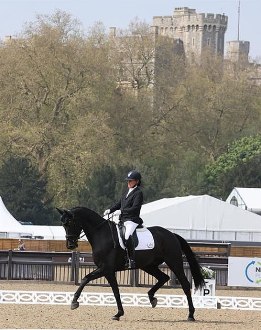 Fiona Bigwood showing Newton Salvanite at the 2024 CDN Windsor :: Photo © private
