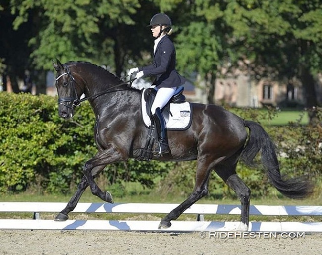 Ditta Gilkaer and Gozzip :: Photo © Ridehesten