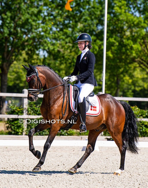 Laura Qvist and Der Kleine Lord at the 2022 CDI Exloo :: Photo © Digishots