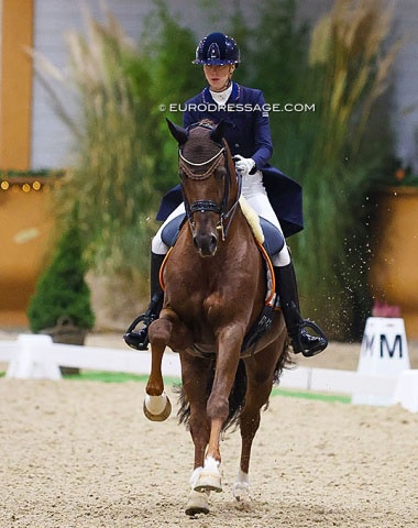 Kirsten Brouwer and Foundation RR at the 2022 CDI Kronenberg Indoor :: Photo © Astrid Appels
