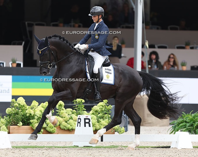 Skyline to B at the 2023 World Young Horse Championships :: Photo © Astrid Appels