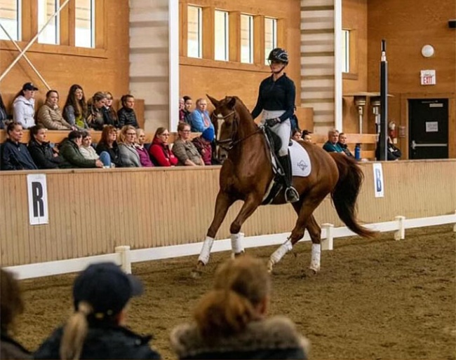 Ashley Moore on Karinos (by Chippendale x Tolando) in the 2024 Daniel Bachmann Andersen clinic in Langley, BC, Canada :: Photos © Cara Grimshaw