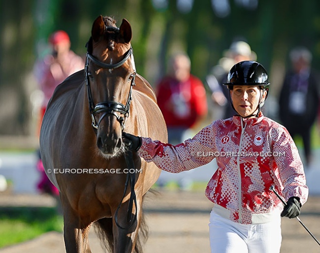 Long-time Canadian team rider Jill Irving trotting up Genesis as team reserve horse at the 2024 Olympics :: Photo © Astrid Appels
